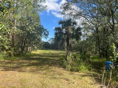 6805 Sugarbush Lane, House other with 4 bedrooms, 3 bathrooms and null parking in Polk City FL | Image 3