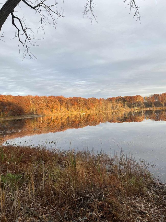 5007 S 42 Nd St, House other with 2 bedrooms, 2 bathrooms and null parking in Climax MI | Image 18