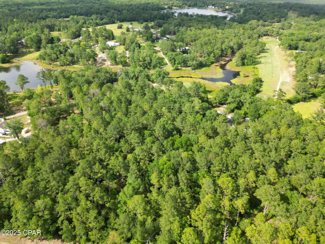 000 Fairway Dr, Home with 0 bedrooms, 0 bathrooms and null parking in Bonifay FL | Image 9