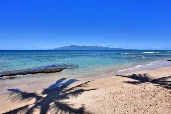 APT-110 - 3691 Lower Honoapiilani Rd, Condo with 1 bedrooms, 1 bathrooms and null parking in Lahaina HI | Image 34