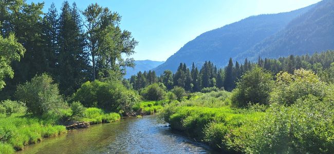 Area Atraction - Bull River | Image 79