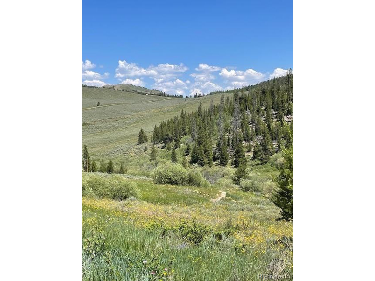 Land in Granby 4