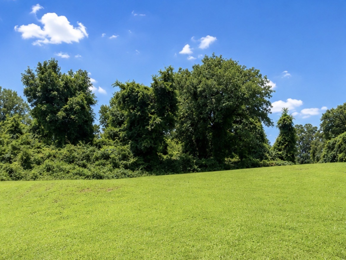 Land in Monteagle