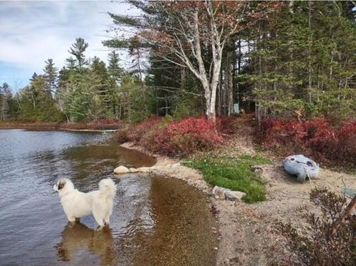 Lot 3 Widerness Way N, Wesley, ME, 04686 | Card Image