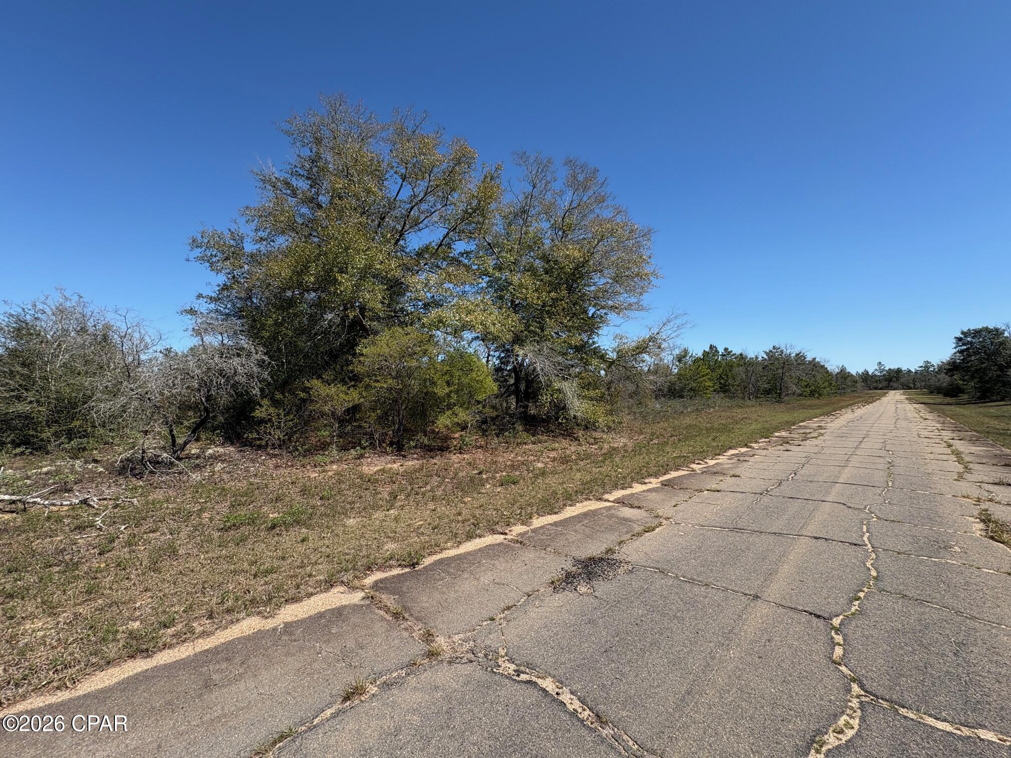 Land in Chipley 3