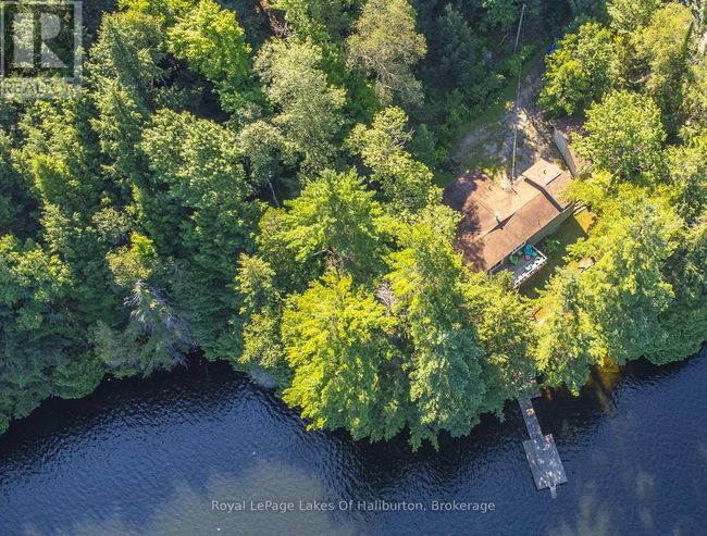 1358 Kushog Lake Rd, House other with 4 bedrooms, 3 bathrooms and 6 parking in Algonquin Highlands ON | Image 42