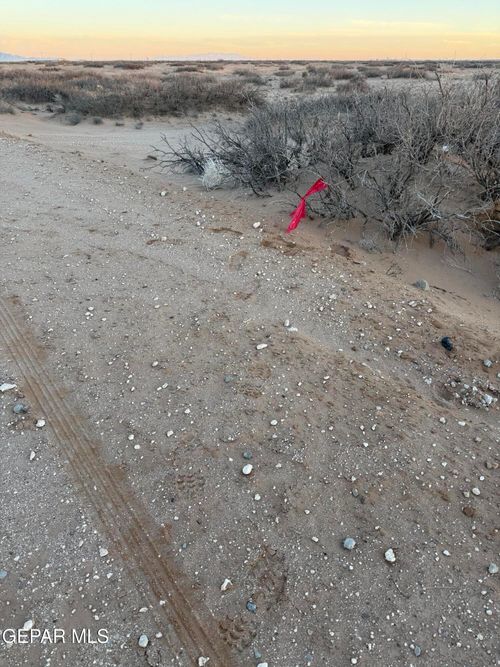 PN225064 El Paso, El Paso, TX, 79901 | Card Image