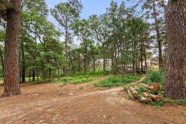 View of yard | Image 23