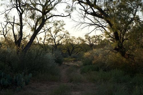 2035 County Rd 4483, Rochelle, TX, 76872 | Card Image