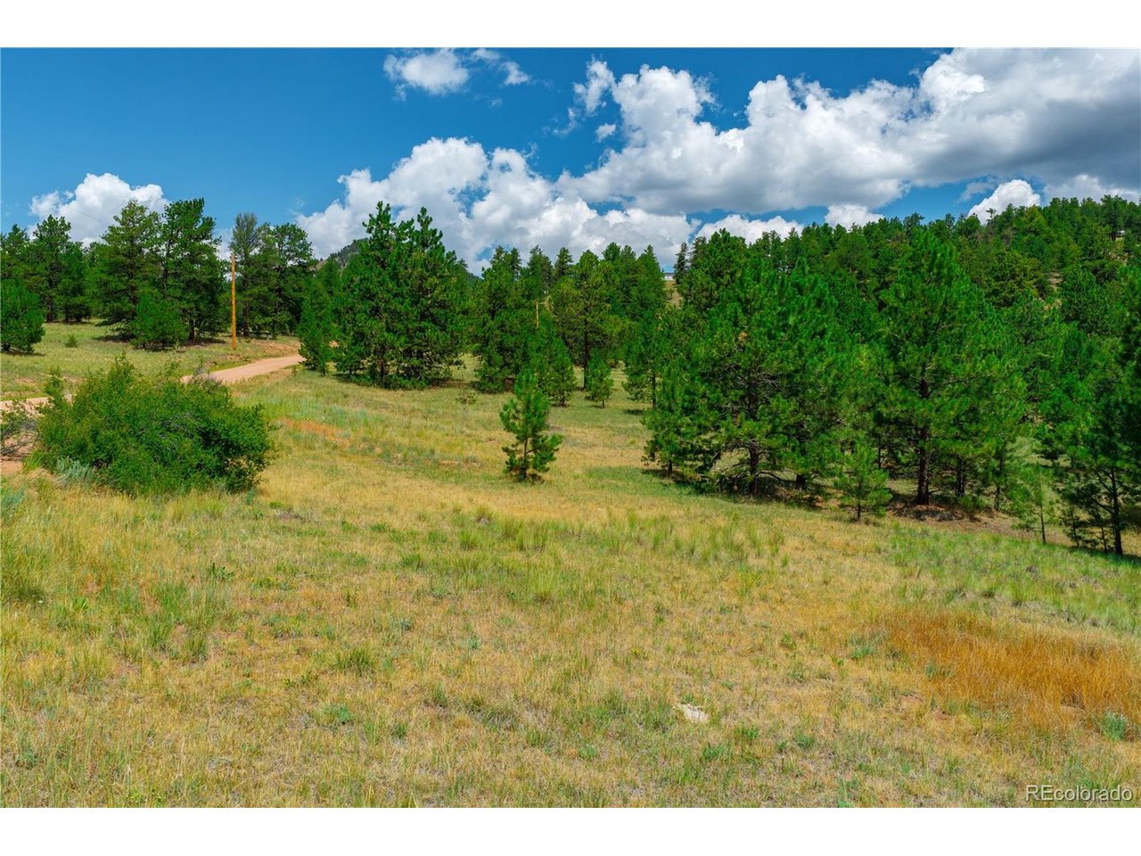Land in Cripple Creek 5