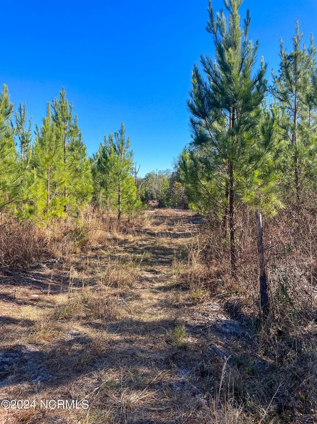 00 Sykes Town Rd, Home with 0 bedrooms, 0 bathrooms and null parking in Currie NC | Image 48