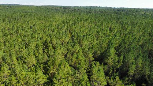 00 Vernal River Rd, Lucedale, MS, 39452 | Card Image