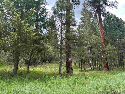 Lot 1 Card Creek, Casey Estates#3, Garden Valley, ID, 83622 | Card Image