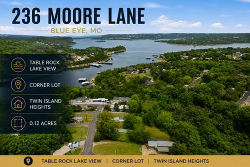 236 Moore Ln, Blue Eye, MO, 65611-7325 | Card Image