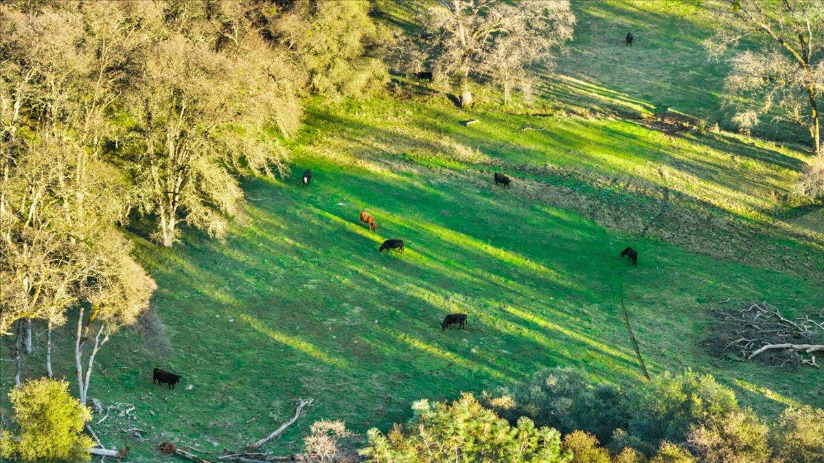 Land in Penn Valley 4
