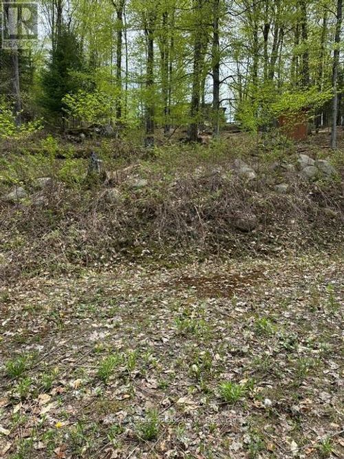 TBD Bushwolf Lake Road, Dysart et al (Guilford), ON, K0M1S0 | Card Image
