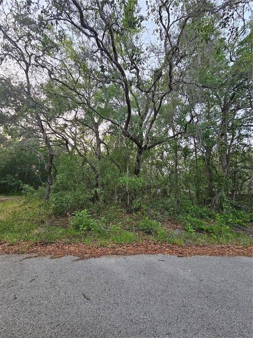 00 Doaks St, New Port Richey, FL, 34654 | Card Image