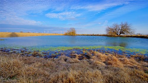 TBD County Road 431, Muenster, TX, 76252 | Card Image
