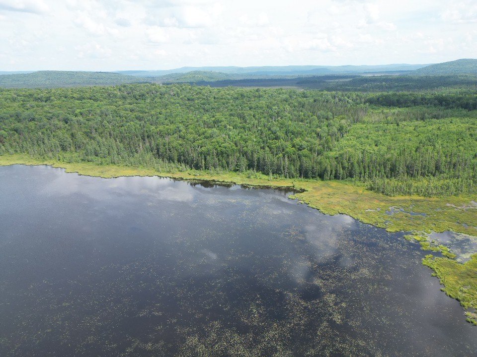 Land in Sainte-Anne-du-Lac 5