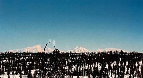 S11 Chitina St, Glennallen, AK, 99588 | Card Image