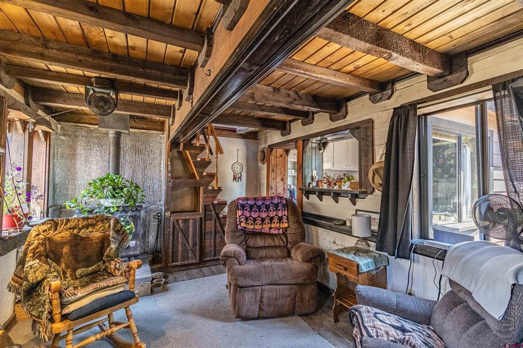 Residential in Pagosa Springs 4
