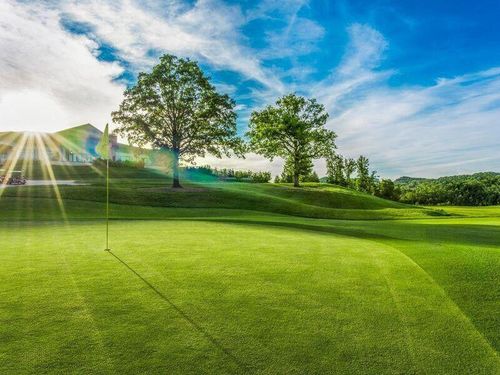 120 Palmer Dr, Branson, MO, 65616-7415 | Card Image