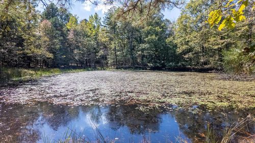 TBD Forrest Dr, Houston, MO, 65483 | Card Image