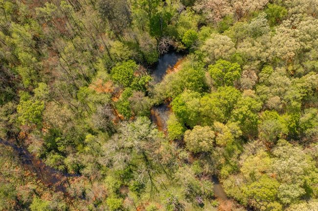00 Cohutta Beaverdale Rd, Home with 0 bedrooms, 0 bathrooms and null parking in Cohutta GA | Image 17
