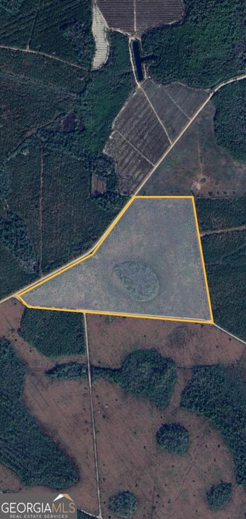 0 Hinson Rd, Homerville, GA, 31634 | Card Image