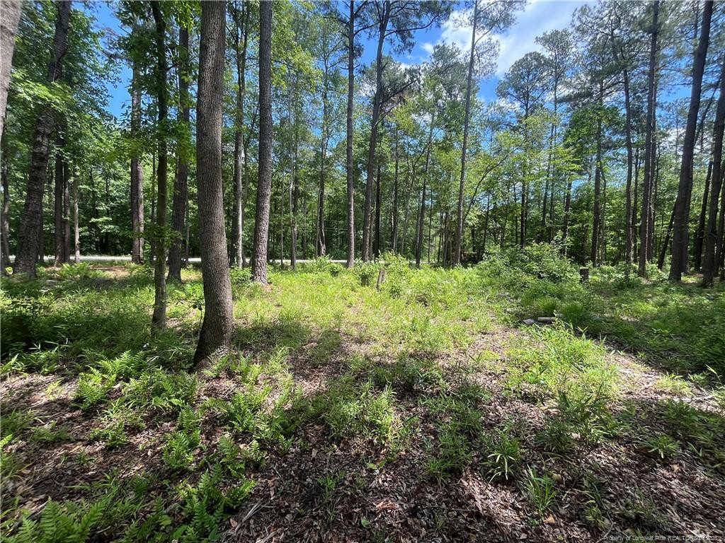 Land in Maxton 4