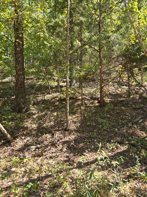 000 County Road 421, Birch Tree, MO, 65438 | Card Image