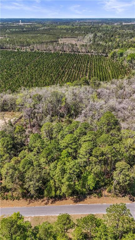 Land in Jesup 2
