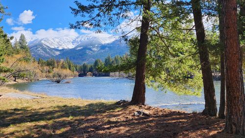 12448 Rippling Waters Rd, Bigfork, MT, 59911-5806 | Card Image