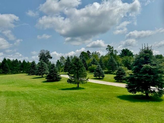 2779 N State Rd, House other with 3 bedrooms, 2 bathrooms and null parking in Luther MI | Image 47