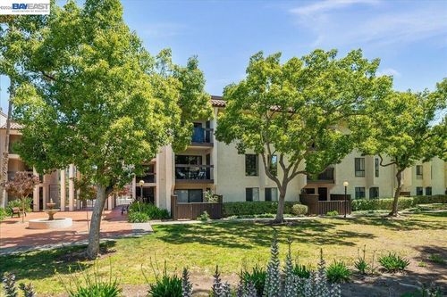 229-39865 Cedar Blvd, Newark, CA, 94560-5353 | Card Image