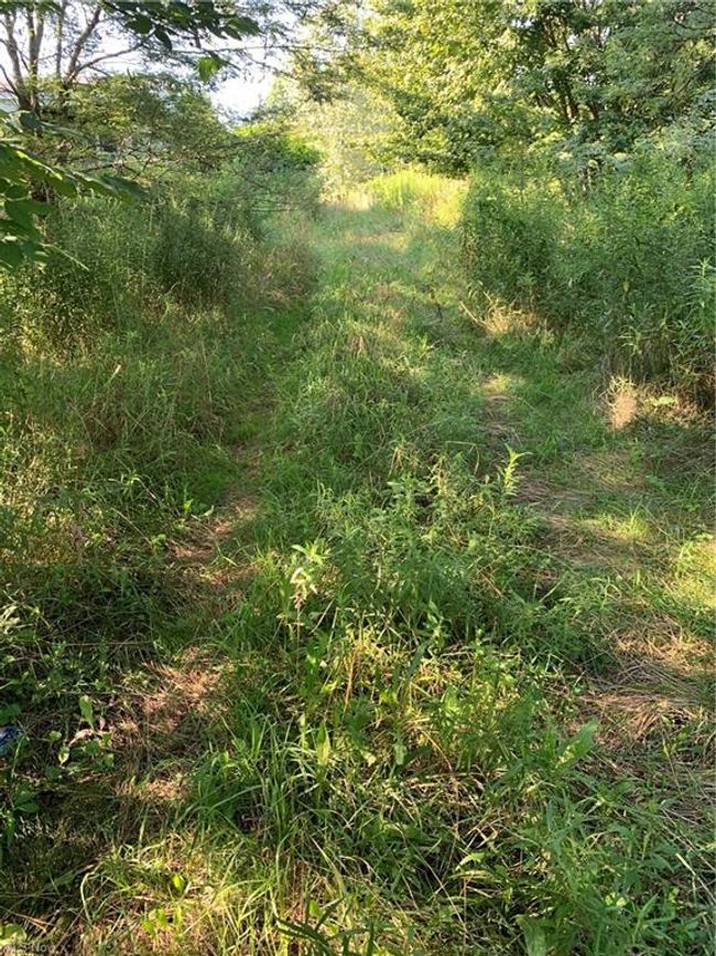 2136 Prospect Road, Sold in New London Zoocasa