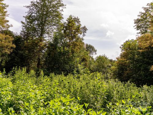 19-22-000 Bear Ridge Rd, Bakersville, NC, 28705 | Card Image