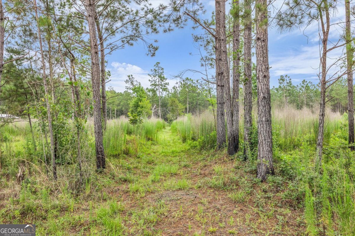 Land in Richmond Hill 5