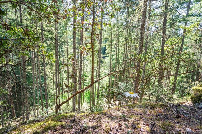 3705 Keel Cres, Home with 0 bedrooms, 0 bathrooms and 2 parking in Pender Island BC | Image 5