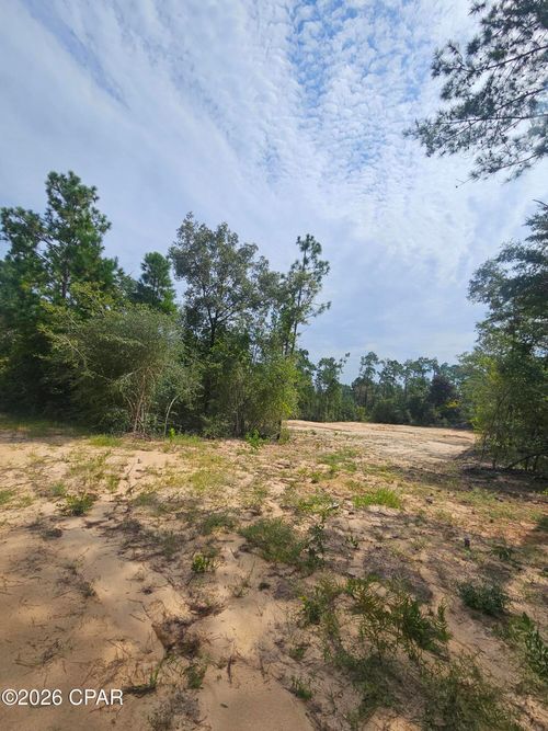 1225 Alene Dr, Alford, FL, 32420 | Card Image
