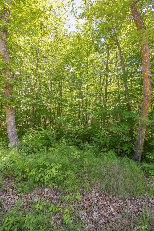 TBD Island View Dr Ne, Longville, MN, 56655 | Card Image