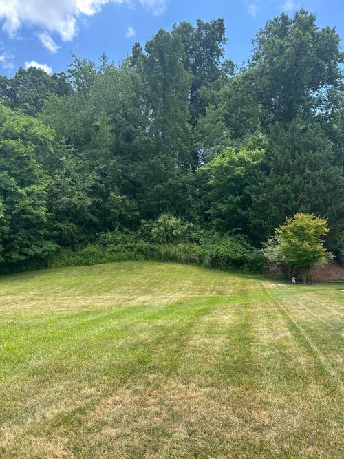 8251 Sawgrass Way, Radford, VA, 24141-6998 | Card Image