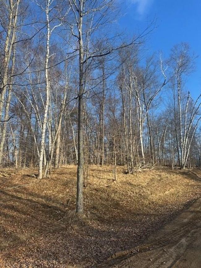 1 Shady Lane, Home with 0 bedrooms, 0 bathrooms and null parking in Crosslake MN | Image 12