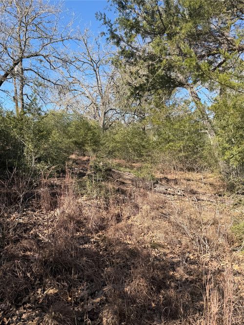 Lot 109 Wailupe Cir, Bastrop, TX, 78602-7250 | Card Image