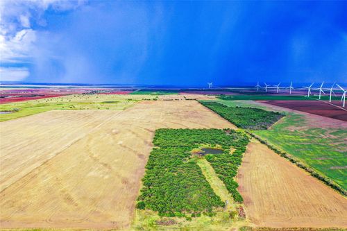 TBD County Road 291, Weinert, TX, 76388 | Card Image