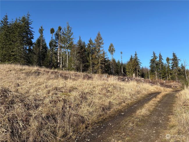 0 Sequim Ave S, Home with 0 bedrooms, 0 bathrooms and null parking in Sequim WA | Image 7