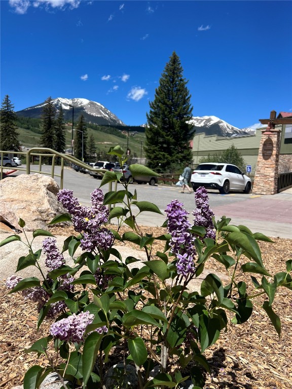 Commercial Lease in Silverthorne 5