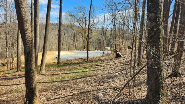 TRACT-2-PIKE-LAKE-GETAWA - 0 Pike Lake Rd, Home with 0 bedrooms, 0 bathrooms and null parking in Bainbridge OH | Image 42