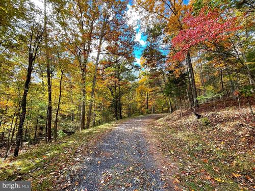 0 Basswood Ln, MOUNT JACKSON, VA, 22842 | Card Image