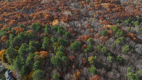 M.R6 Lot18 Lisbon Street, Lisbon, ME, 04250 | Card Image